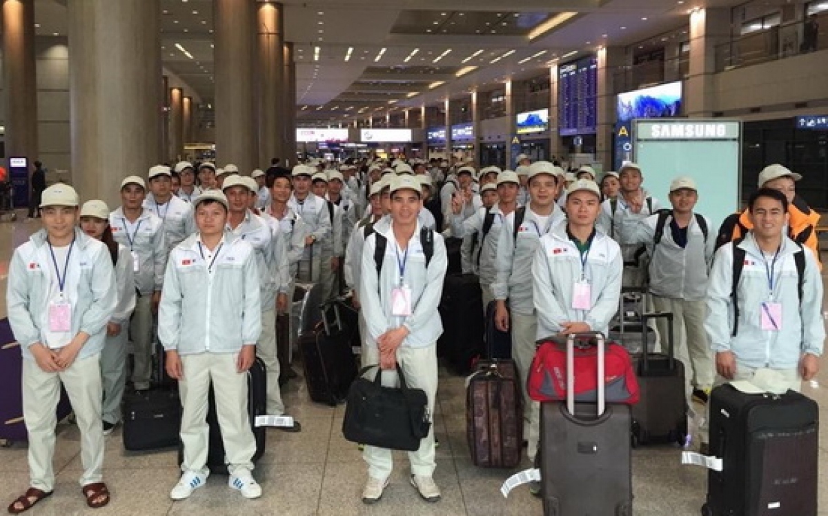 Czech Republic to recruit Vietnamese workers